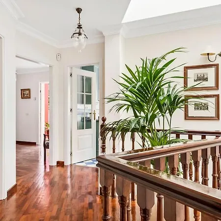 Artigar, Garden, Swimming Pool And Bbq. Puerto de la Cruz (Tenerife)